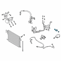 OEM 2022 Ford Police Interceptor Utility Suction & Discharge Hose Assembly Diagram - L1MZ-19835-BB