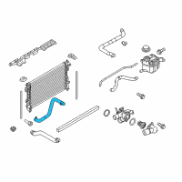 OEM 2016 Lincoln MKS Lower Hose Diagram - 8G1Z-8286-B