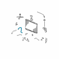 OEM 2008 Acura RL Hose, Water (Lower) Diagram - 19502-RJA-J00