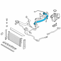 OEM BMW 330i Engine Radiator Hose Diagram - 17-12-8-616-528