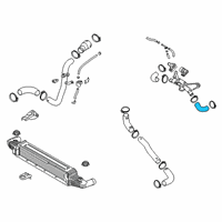 OEM 2019 Kia K900 Hose-I/C Inlet, LH Diagram - 282823L202