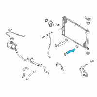 OEM Chevrolet Aveo5 Upper Hose Diagram - 96536592