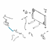 OEM Chevrolet Aveo Radiator Surge Tank Radiator Hose Diagram - 96536611