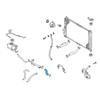 OEM 2006 Chevrolet Aveo By-Pass Hose Diagram - 96180071