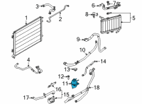 OEM 2022 Ford Mustang Auxiliary Reservoir Diagram - KR3Z-8A080-B