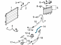 OEM Ford Mustang Reservoir Hose Diagram - KR3Z-8075-B