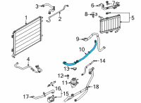 OEM 2022 Ford Mustang Lower Hose Diagram - KR3Z-18472-B