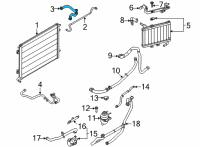 OEM Ford Mustang Upper Hose Diagram - KR3Z-8N029-A