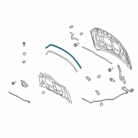 OEM Ford Fusion Front Weatherstrip Diagram - 9E5Z-16B990-A