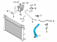 OEM 2022 Toyota Corolla Lower Hose Diagram - 16571-24060