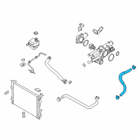 OEM 2011 Hyundai Tucson Hose-Radiator Lower Diagram - 25412-2S100