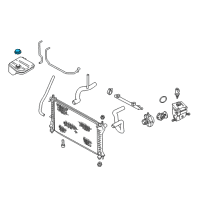 OEM Ford Focus Reservoir Cap Diagram - 9S4Z-8100-B