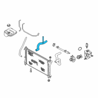 OEM Ford Focus Lower Hose Diagram - 3S4Z-8286-BC