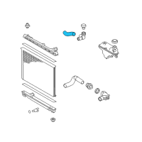 OEM 2022 Lexus RC300 Hose, Radiator, NO.1 Diagram - 16571-36260