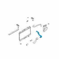 OEM 2002 Nissan Frontier Hose-Radiator, Upper Diagram - 21501-3S500