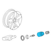 OEM 2007 GMC Acadia Tire Sensor Nut Diagram - 25976357