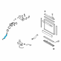 OEM Lexus LS600h Hose, Radiator, NO.2 Diagram - 16572-38111