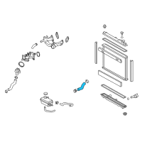 OEM Lexus LS600h Hose, Radiator, NO.1 Diagram - 16571-38061