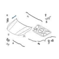 OEM 2014 Kia Optima Lifter-Hood Diagram - 811614C000