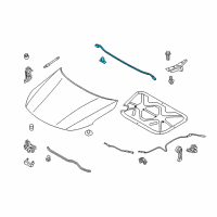 OEM 2011 Kia Optima Weatherstrip-Hood Diagram - 864302T000