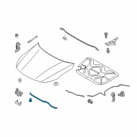 OEM 2015 Kia Optima Strip Assembly-Hood Seal Diagram - 864352T000