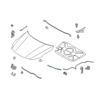 OEM Kia Cable Assembly-Hood Latch Diagram - 811904C100