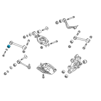 OEM 2016 Hyundai Genesis Bush-Trailing Arm Diagram - 55543-B1000