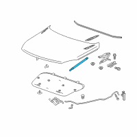 OEM 2016 Buick Regal Support Strut Diagram - 13252173