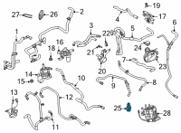 OEM 2022 Ford Maverick Outlet Hose Clamp Diagram - -W527311-S444