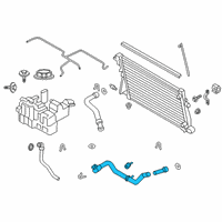 OEM 2019 Ford F-250 Super Duty Lower Hose Diagram - LC3Z-8286-E