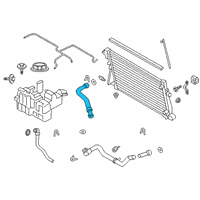 OEM 2021 Ford F-250 Super Duty Upper Hose Diagram - LC3Z-8260-C