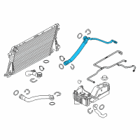 OEM 2016 Ford F-250 Super Duty Lower Hose Diagram - BC3Z-8286-B