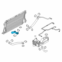 OEM Ford F-250 Super Duty Lower Hose Diagram - BC3Z-8286-E