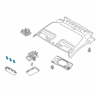 OEM 2016 Chevrolet City Express Map Lamp Bulb Diagram - 19317759