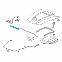 OEM 2015 Chevrolet Corvette Lift Cylinder Diagram - 23432065