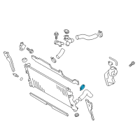 OEM Scion Lower Hose Clamp Diagram - SU003-02996