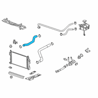 OEM 2017 Buick Regal Upper Hose Diagram - 20877113