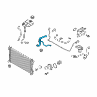 OEM 2013 Ford Transit Connect Lower Hose Diagram - 9T1Z-8286-C