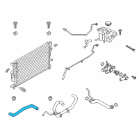 OEM 2016 Lincoln MKZ Upper Hose Diagram - DP5Z-8260-A