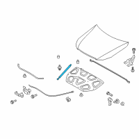 OEM 2009 Kia Borrego LIFTER-Hood RH Diagram - 811702J000