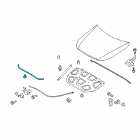 OEM 2009 Kia Borrego Strip Assembly-Hood Seal Diagram - 864352J000