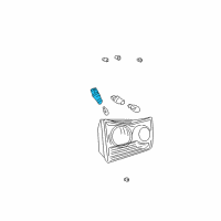 OEM 2006 Toyota Tacoma Park Lamp Bulb Socket Diagram - 90075-60056