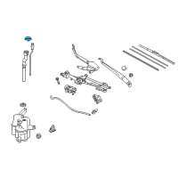 OEM Toyota Prius V Reservoir Cap Diagram - 85316-47220