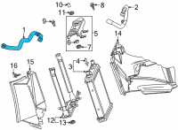 OEM Cadillac CT5 Hoses Diagram - 84637344