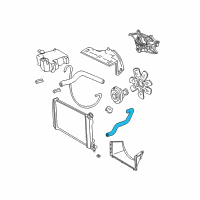 OEM 1994 Chevrolet S10 Lower Hose Diagram - 15149147