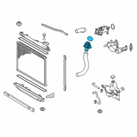 OEM Toyota Thermostat Unit Gasket Diagram - 16031-0S010