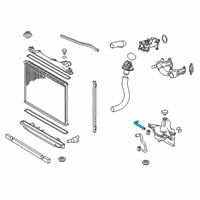 OEM 2016 Lexus RC F Hose, Reserve Tank O Diagram - 16566-38060