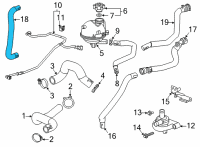 OEM Buick Encore GX Outlet Hose Diagram - 42732072