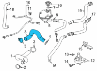 OEM 2022 Chevrolet Trailblazer Lower Hose Diagram - 42732065