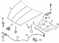OEM 2020 Hyundai Sonata Cable Assembly-Hood Latch Release Diagram - 81190-L0100
